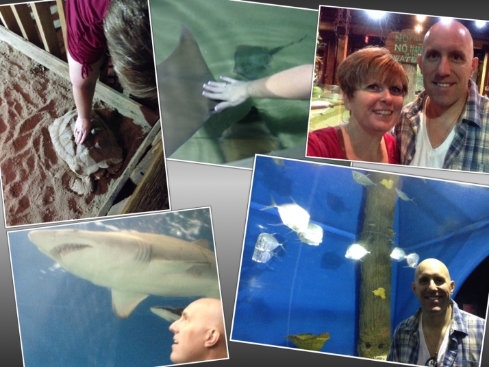 Touching the stingrays & turtles....so cool!